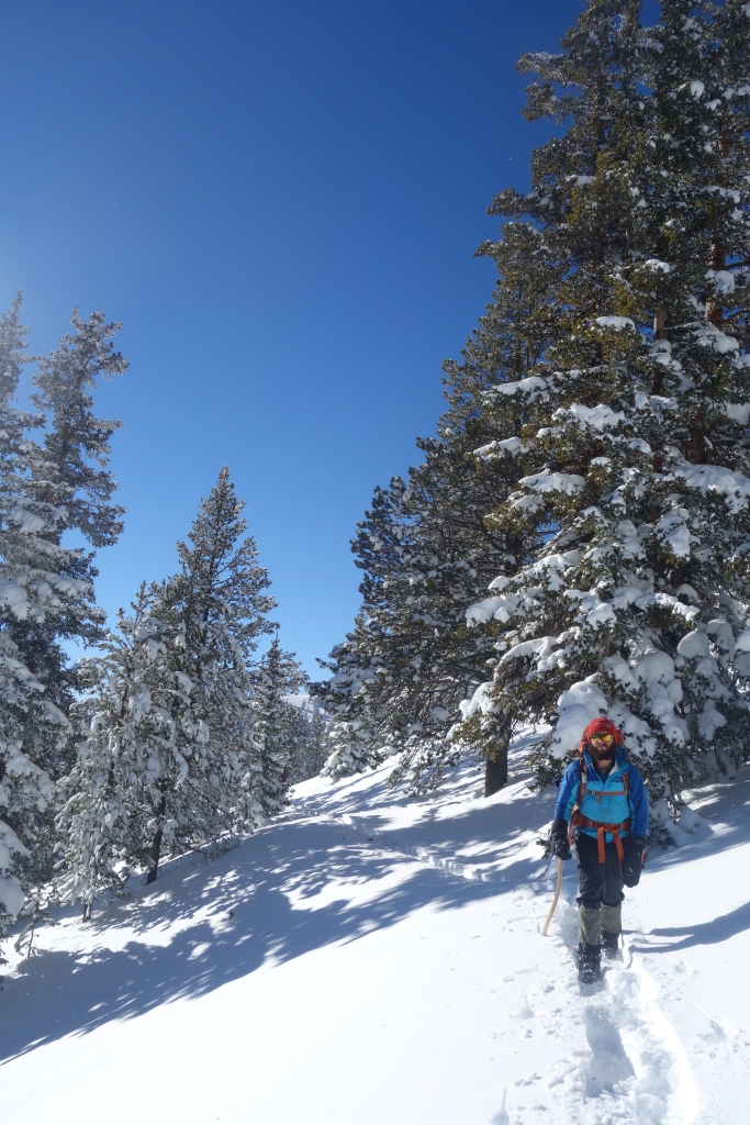 Some snow shoeing in Southern Colorado. Blah!